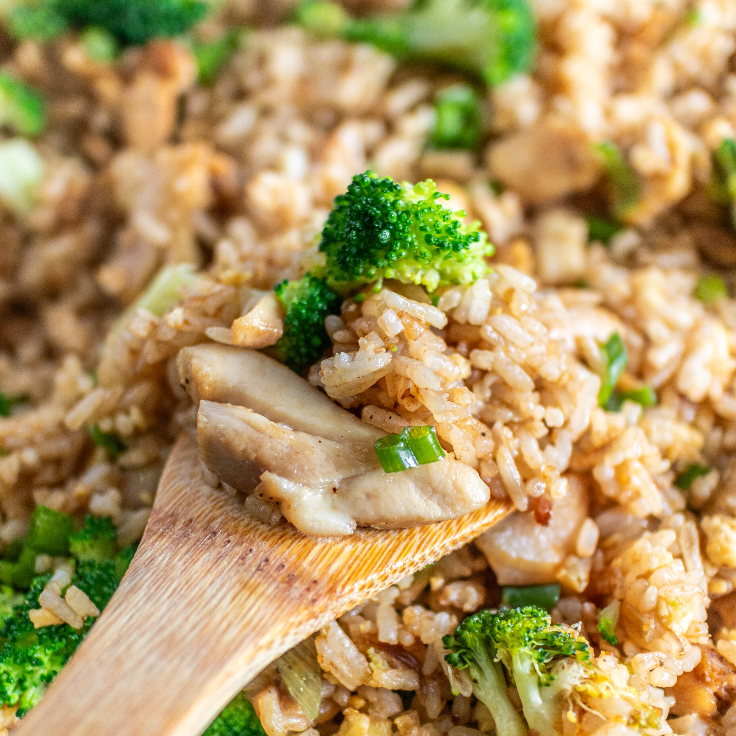 chicken-fried-rice_4